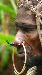 Papua-Tree people-Kombai tribe